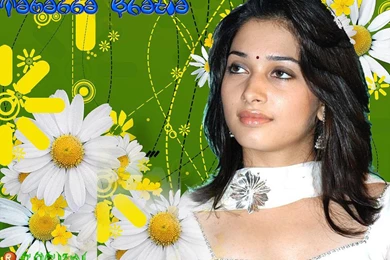 Wallpapers Tamanna Actress All Actresss 960x720