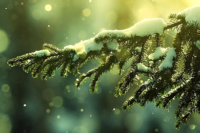 Dual Monitor Wallpapers 734   HD Wallpapers