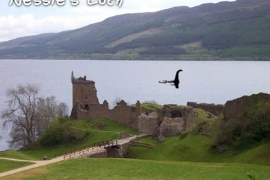 Wallpapers Pop Lock N Drop It Loch Ness Monster Desktop Backgrounds ...