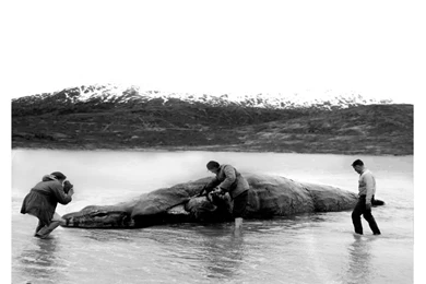 Visit Loch Ness   Home