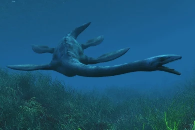 Loch Ness Monster « Paleoaerie