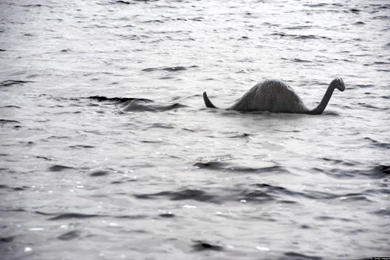 Loch Ness Monster: Marathon Offers $75000 Reward For Selfie With ...