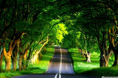 Best Wallpapers In The World For PC