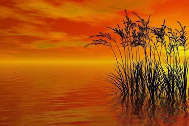 Windows 8 3D Wallpapers   Wallpapers Cave