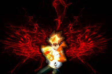 Tsuna Wallpapers By Alexeiyuri On DeviantArt