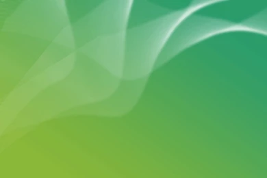 Green Colour Wallpapers   Wallpapers HD Fine