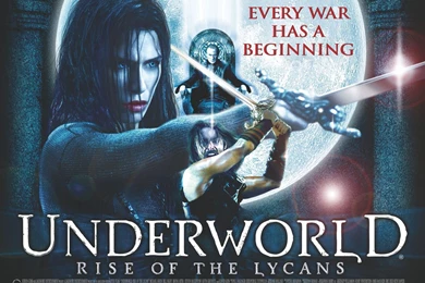 Features   Page 437   Dhakamovie.com