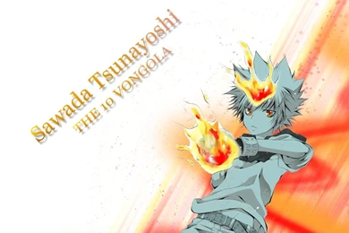 Tsuna   Sawada "Tsuna" Tsunayoshi Wallpapers (18151674)   Fanpop