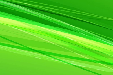 Green Colorful 09 Galaxy S5 Wallpapers HD.jpg