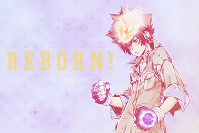 Tsuna Wallpapers By Ami Fly On DeviantArt