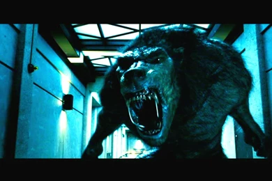 UNDERWORLD Action Fantasy Thriller Dark Lycan Werewolf Gd ...