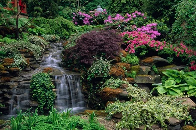 Download Backgrounds From The Pattie Group