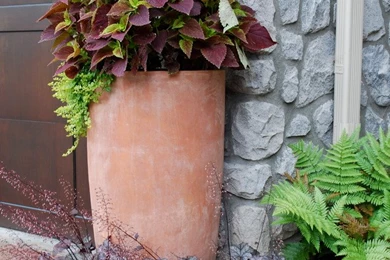 Free Landscape Backgrounds For Photoshop   Front Yard Landscaping ...