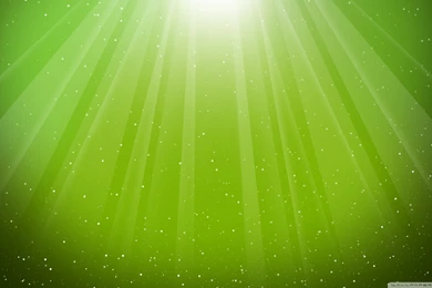 Colour Aurora Burst Lime Green (id: 197685) – BUZZERG