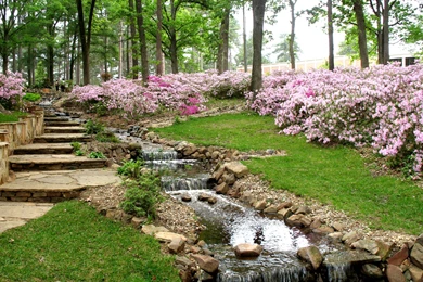 Garden Louisiana Landscaping Ideas Front Yard   The Janeti