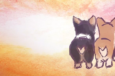 Corgi Butts Drive Me Nuts By MariahBlack09 On DeviantArt