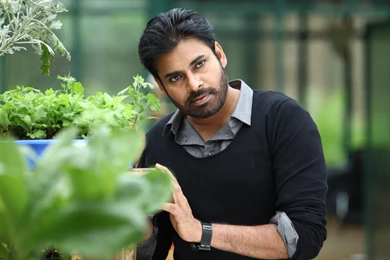 South Indian Actor Pawan Kalyan Full HD Widescreen Images Wallppaers