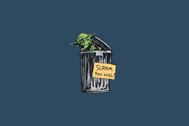 Yoda In A Trash Can, Star Wars, Funny, 1920x1080 HD Wallpapers And ...