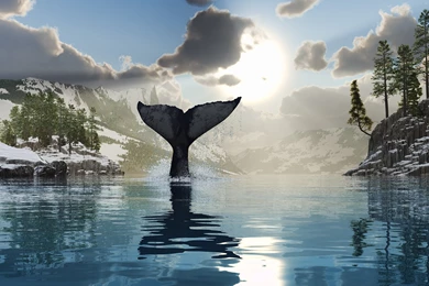 Visual Paradox Free 3D Wallpapers 'Tale Of The Whale' 3200x1200 ...