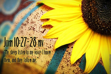 Wallpapers Christian Free Bible Verse 1024x768