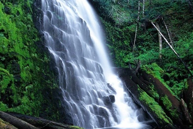 University Falls, Tillamook State Forest, Oregon Wallpapers ...
