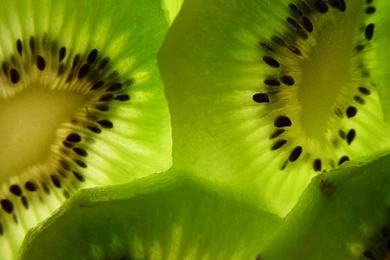 Kiwi   Kiwi Wallpapers (31298271)   Fanpop
