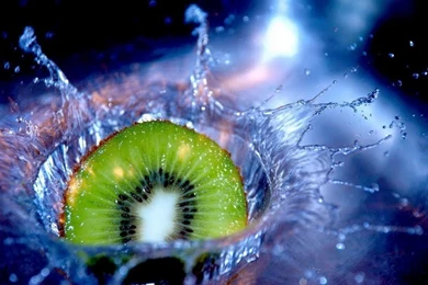 Kiwi In Water Wallpapers