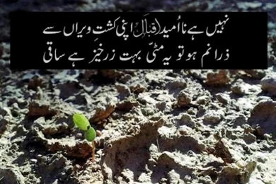 Allama Iqbal Poetry Wallpapers, Shayari, Ghazals, Poems, In Urdu ...