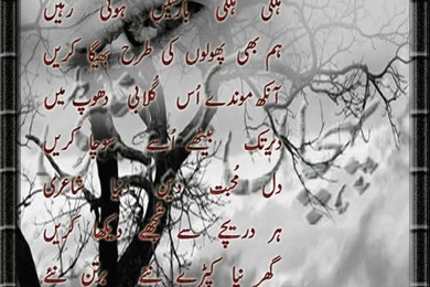 Free Wallpapers Download Funny,poetry,animals {All In One}: Hd ...