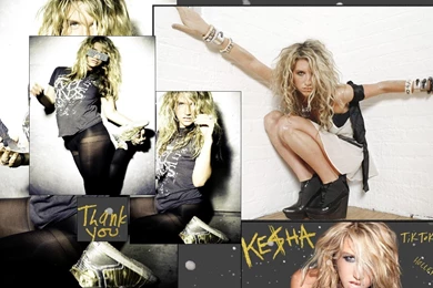 1440x900 Wallpapers Kesha   Ke$ha Wallpapers (9272588)   Fanpop