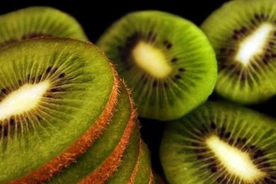 The Gallery For   > Kiwi Wallpapers Hd