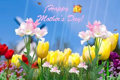 Free Hd Wallpapers Download In Mobile 3D