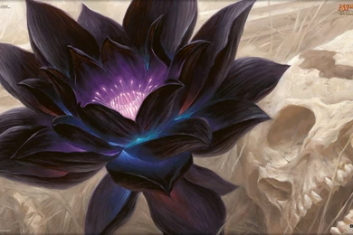 Wallpapers Of The Day: Black Lotus