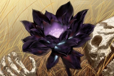 Black Lotus By Karl Smink On DeviantArt