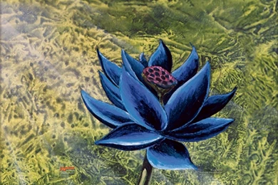 Black Lotus
