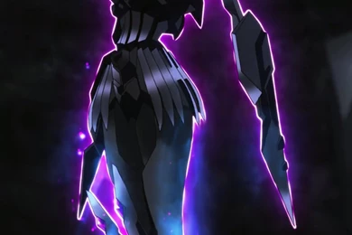 Accel World Silver Crow And Black Lotus