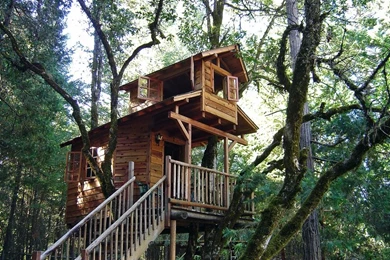 Tree House HD Wallpapers 2015
