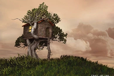 A Tree House