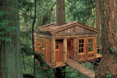 Optical Illusion Wallpaper: Amazing Tree House Wallpapers