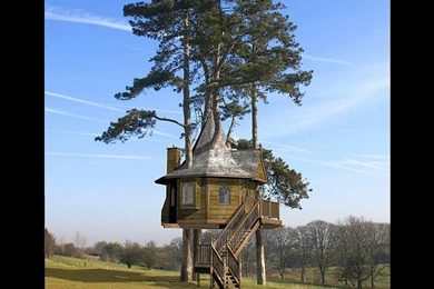 I Love Treehouses: Real Treehouse Wallpapers 1680x1050