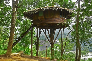 Awesome Beautiful Tree House GD4