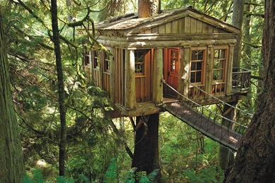 Top HD Treehouse Wallpapers