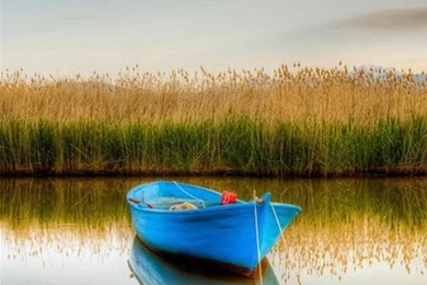 Moto G And Moto X HD Wallpapers For Download