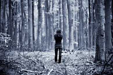 Lonely Girl In The Trees HD Delightful Wallpapers Free HD Wallpapers ...