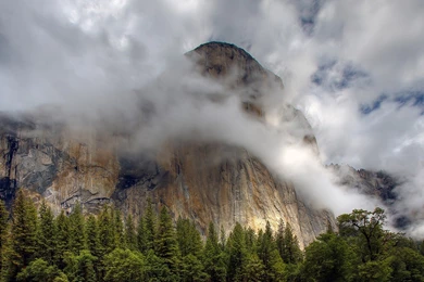 Twitter Headers / Facebook Covers / Wallpapers / Calendars ...