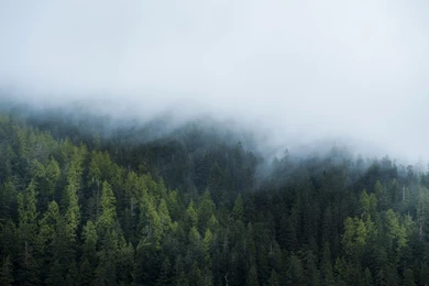 Twitter Headers / Facebook Covers / Wallpapers / Calendars ...