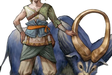 73 Link The Legend Of Zelda HD Wallpapers Wallpapers   (