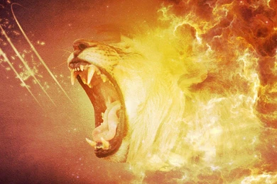 LION S ROAR WALLPAPER   (