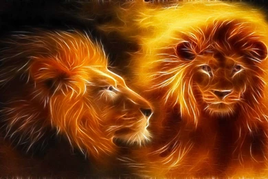 Lion Abstract Wallpapers Designs 3287   HD Wallpapers Site