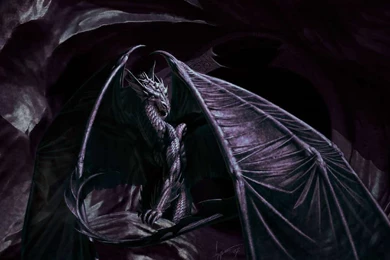 Dark Dragon Wallpapers   Wallpapers Cave